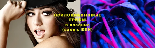 альфа пвп Заводоуковск