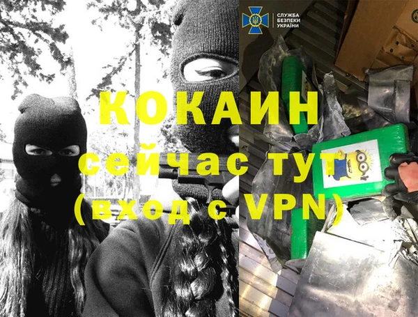 альфа пвп Заводоуковск