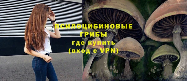 альфа пвп Заводоуковск