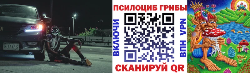 Галлюциногенные грибы Psilocybine cubensis  Купить закладки  Гаврилов Посад 