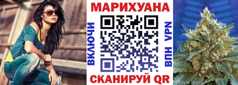 Купить закладки  Гаврилов Посад  Конопля AK-47 